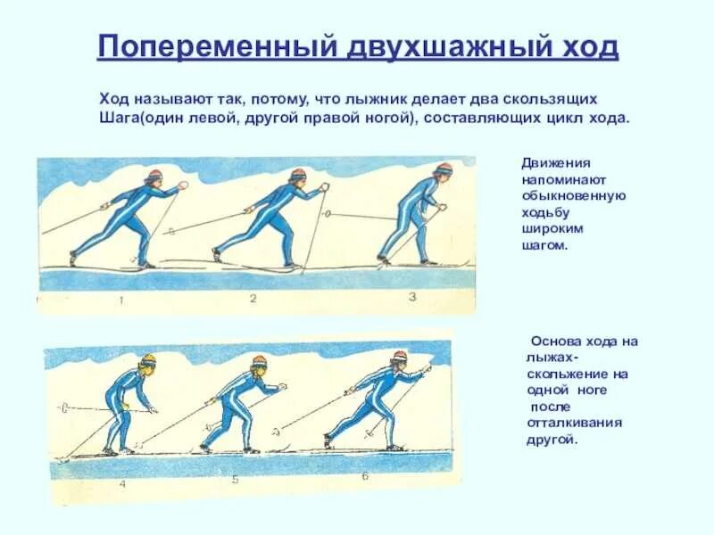 Техника переменной двухшажный ход. Техники лыжного хода попеременный двухшажный. Попеременно двухшажный классический ход на лыжах. Лыжные ходы попеременный двухшажный ход. При передвижении на лыжах применяют