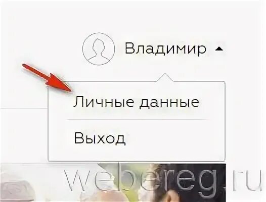Mysokolov программа лояльности. Mysokolov программа лояльности
