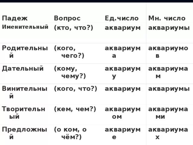 Падеж слова магазина. Падеж аквариум. В аквариуме какой падеж. Чувашские падежи с вопросами. Аквариуме – в форме дательного падежа.