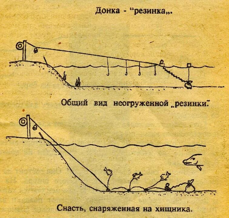 Ловля донной снастью. Донная снасть резинка. Сборка донной снасти резинка. Снасть донная оснащенная с резинкой. Донка с резиновым амортизатором на судака.