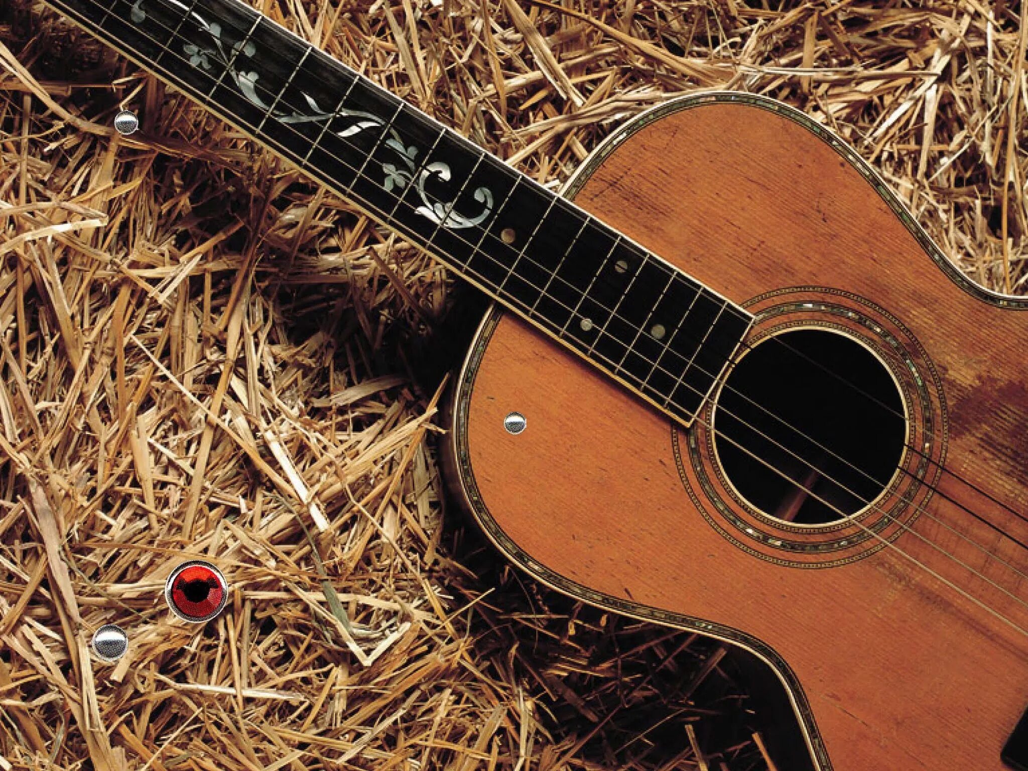 Гитара гибсон лес пол. Marshall and les paul. Электрогитара gibson les paul. Гитара на полу. Гитара на полу.