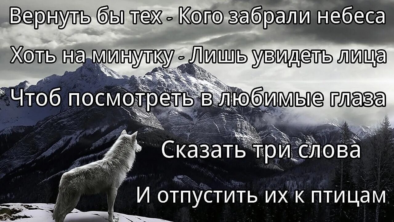 Вернуть тех кого забрали небеса. Цитаты про тех кого забрали небеса. И отпустить их к птицам. Увидеть бы тех кого забрали небеса.