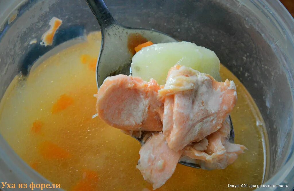 Форель клеопатра. Лосось мороженый куски. Fish salmon форель. Как приготовить замороженную форель. Речная форель филе.