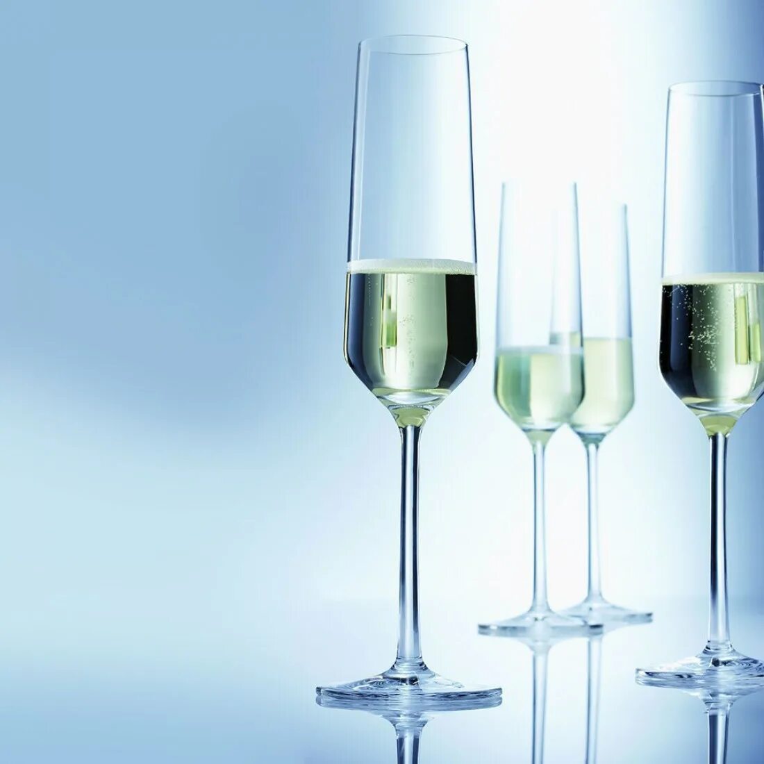 Бокалы для шампанского 2025 модные. Schott zwiesel pure бокалы. набор бокалов schott zwiesel pure. schott zwiesel бокалы. schott zwiesel бокалы для шампанского.