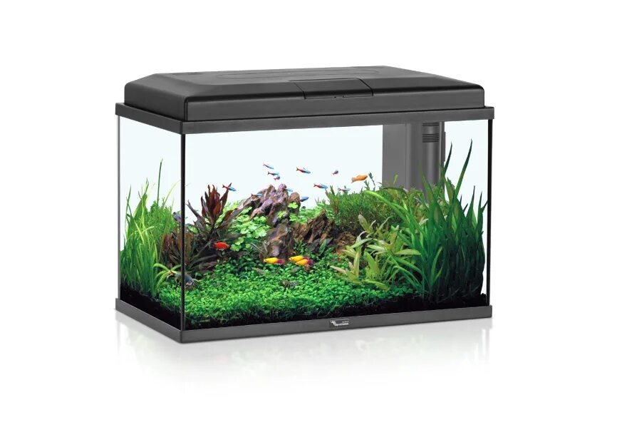 Купить аквариум в перми. Аквариум Aquatlantis 200 литров. Aquael Nano Reef 30л. Аквариум Box Betta 1.3. Нано риф 30 литров.