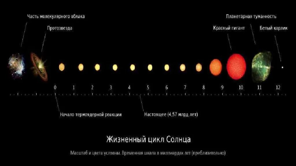 Схема звездной эволюции. Жизненный цикл звезд протозвезда. Эволюция звезд этапы протозвезда красный гигант. Эволюция звёзд схема протозвезда. Строение излучение и эволюция солнца и звезд