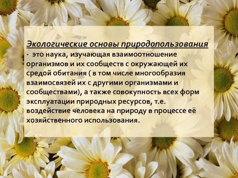 Природные ресурсы экологические основы. Экологические основы природопользования. Экологические принципы природопользования. Экология основы природопользования. Задачи экологических основ природопользования.