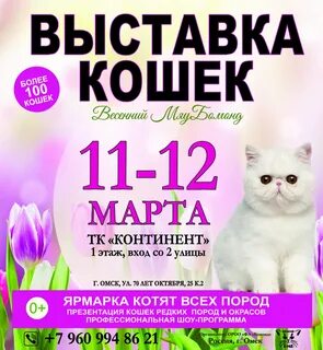 Выставки в омске 2024 март