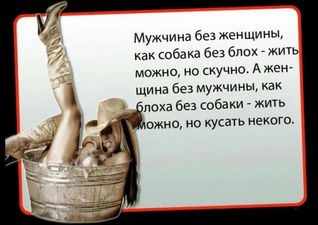 Смешные цитаты парню. Смешные высказывания про мужчин. прикольные высказывания про мужчин. прикольные фразы про мужчин. смешные высказывания про женщин.