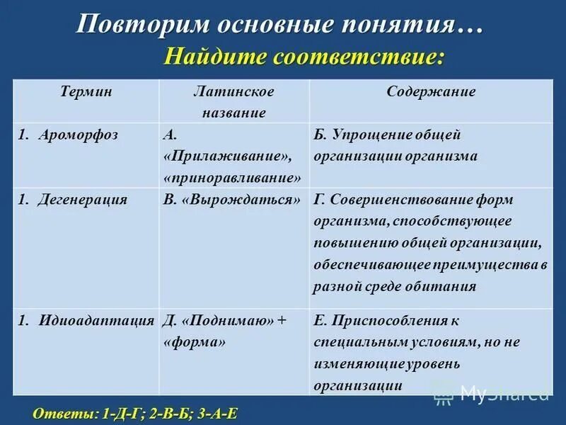 Формы эволюционных изменений. Закономерности эволюции. Закономерности эволюционного процесса. Закономерности биологической эволюции. Закономерности эволюции дивергенция конвергенция параллелизм.