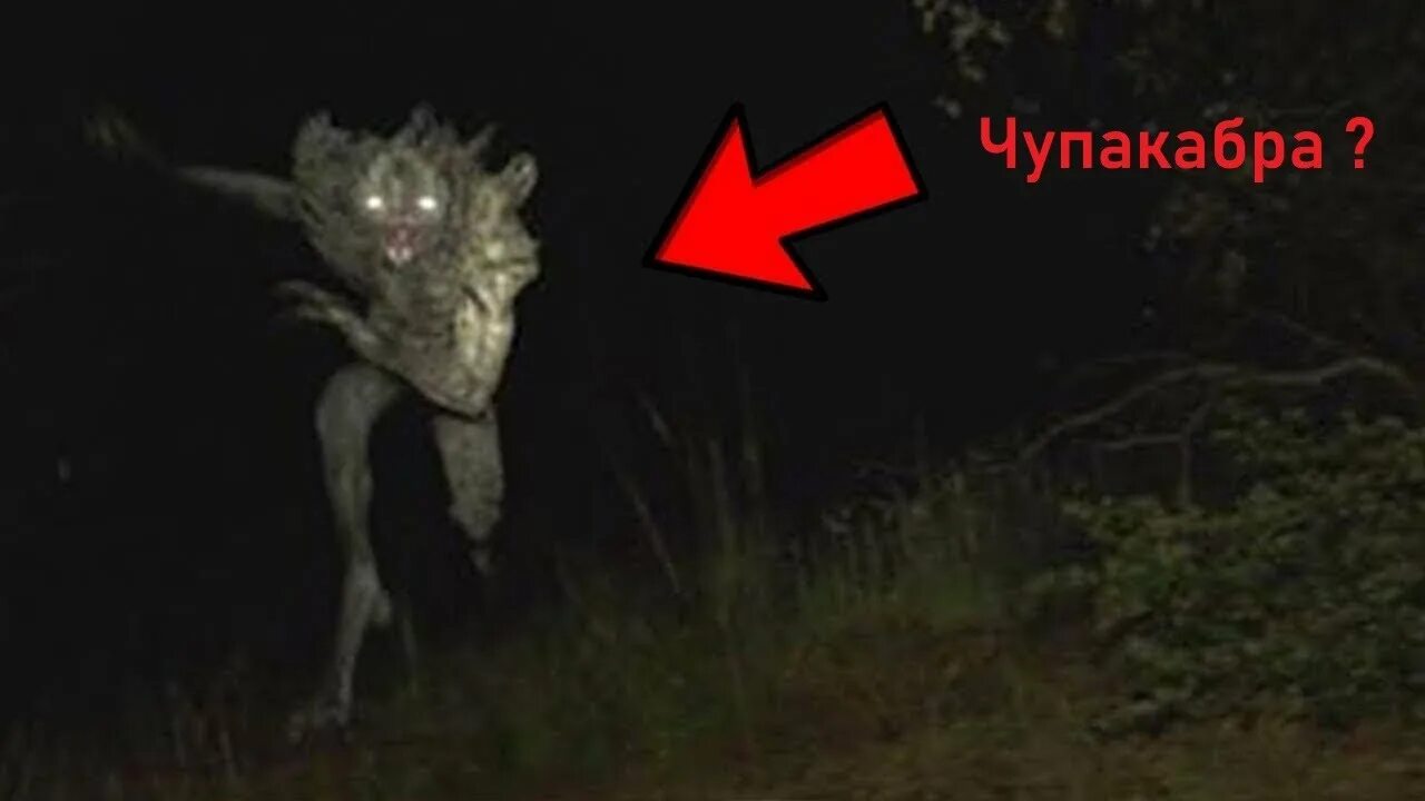 Иное среди нас - ЧУПАКАБРА 11 Выпуск - YouTube