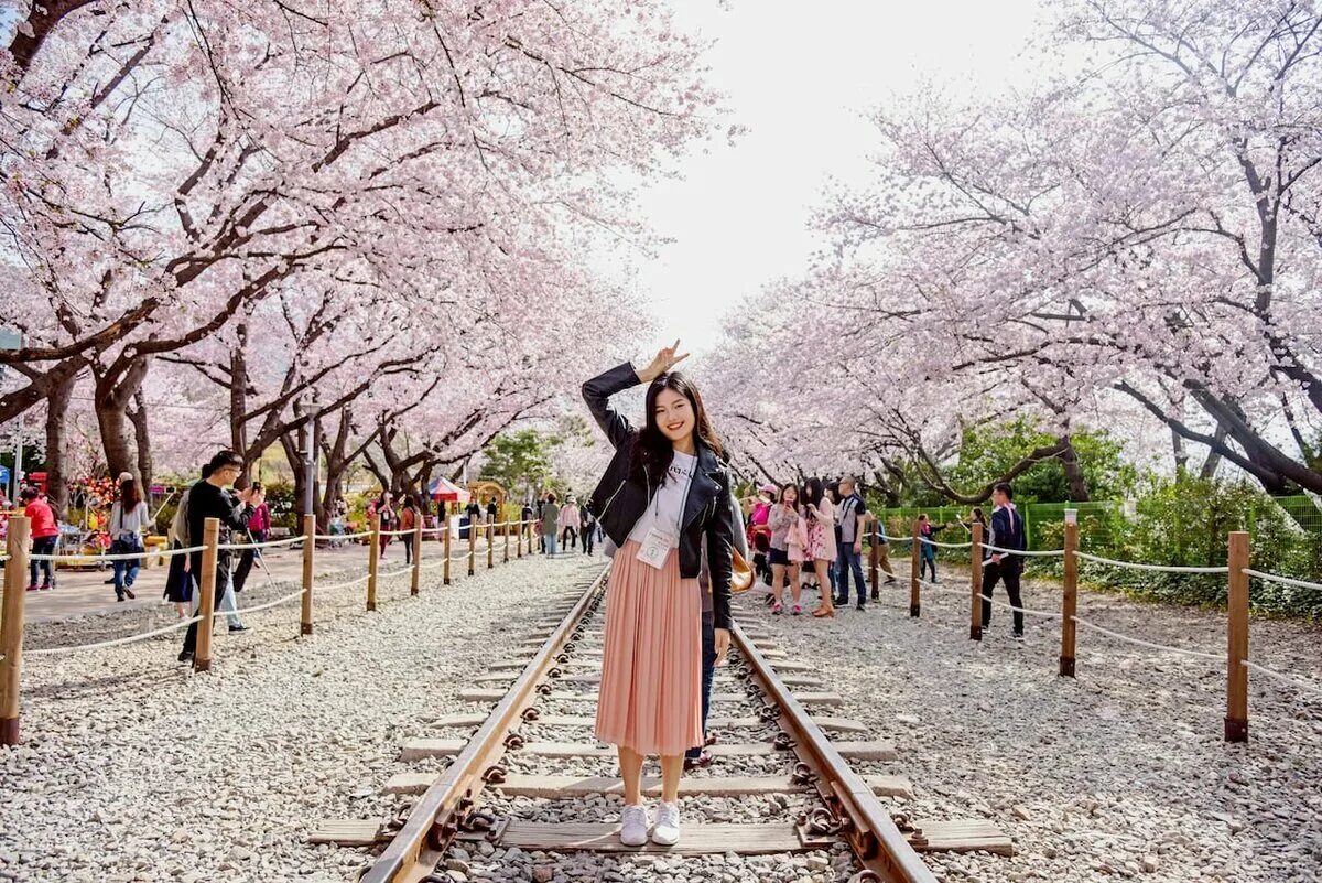 Жители южной кореи. Орёл и решка корея сеул. Южной корее начинается. Южные корейцы. Джонджи южная корея.