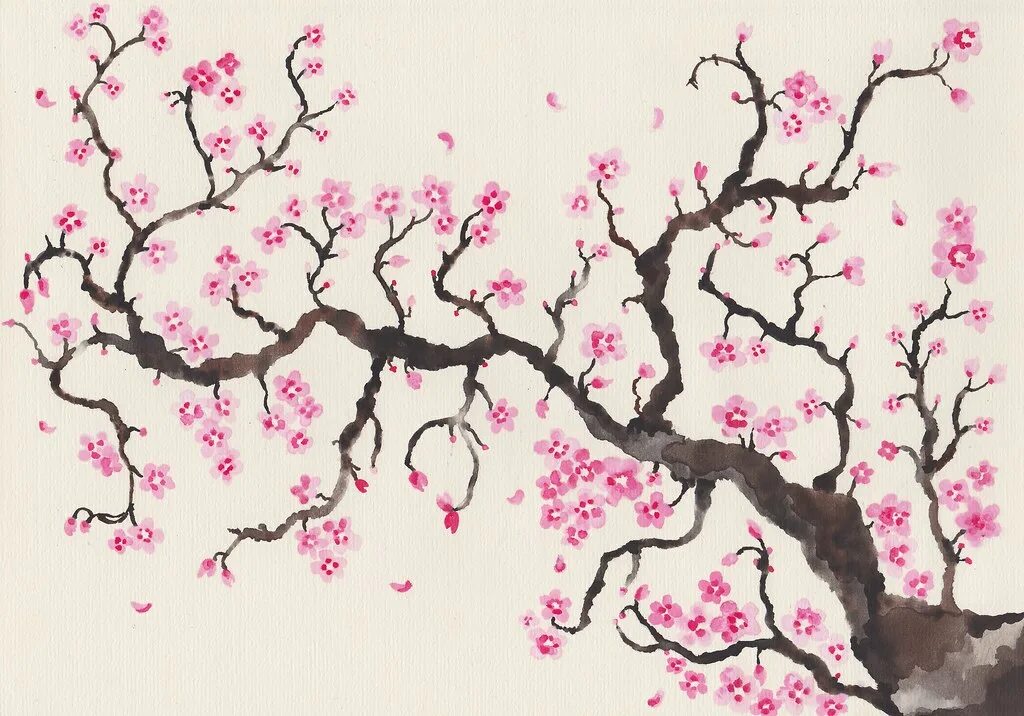 Дерево Сакуры акрилом. Сакура рисунок. Рисунок Сакуры карандашом для начинающих. Дерево Сакура рисунок.