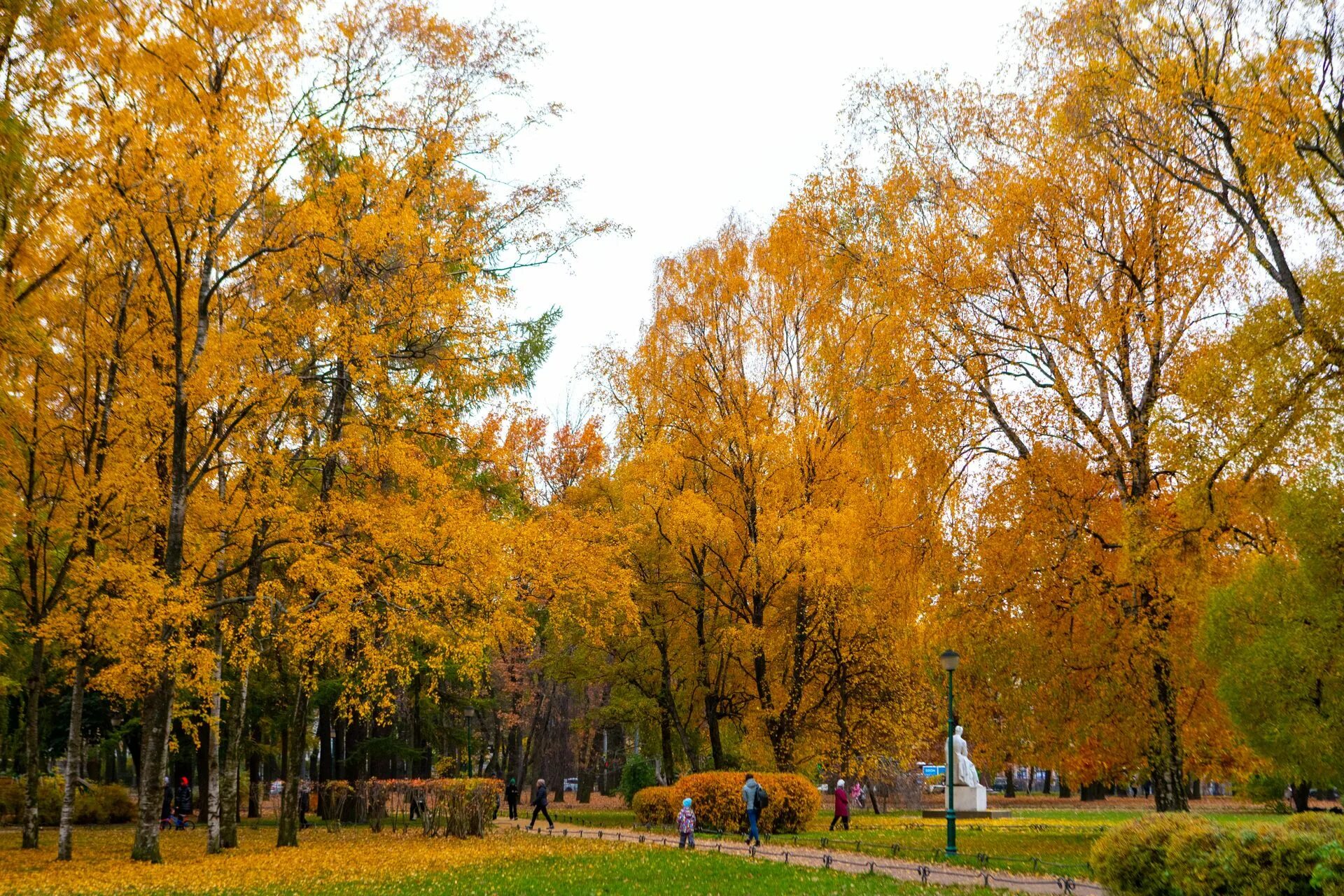 Золотая осень. Листопад. Золотая осень в Санкт-Петербурге. Осенний день. Сайт золотой осени