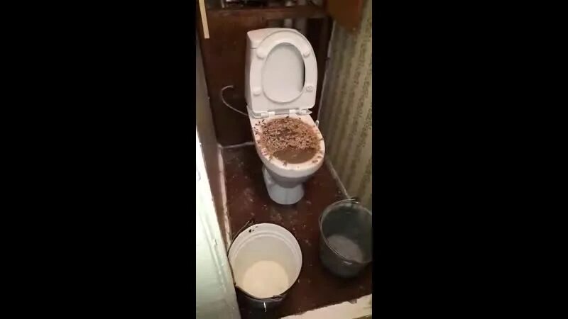 Дрожжи в туалет. Дрожжи в школьном унитазе.