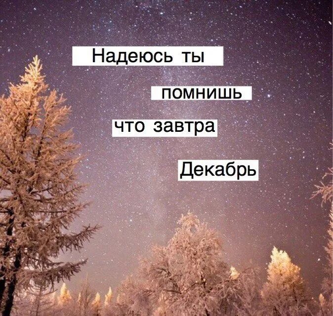 Завтра зима. А завтра уже зима. Завтра декабрь. Завтра декабрь зима. Каким бывает декабрь