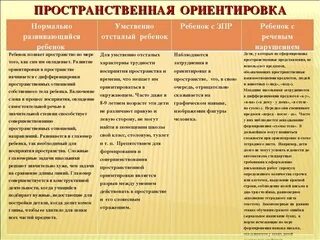 Какое мышление преобладает у младшего школьника. Какое мышление преобладает у младшего школьника