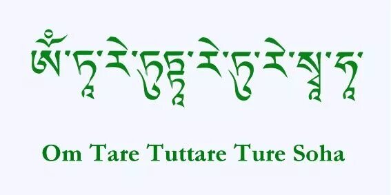 Ом таре туттаре туре слушать. Мантра ом Таре ТУТТАРЕ туре Соха. Мантра ом Таре ТУТТАРЕ туре сваха. Ом Таре ТУТТАРЕ туре Соха на тибетском.