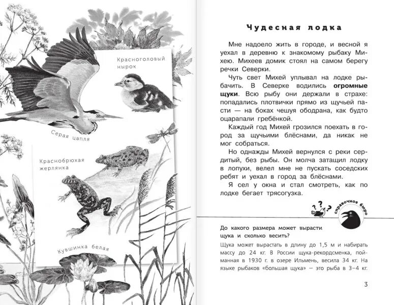 Сладков рассказы распечатать. Рассказы н Сладкова о природе. Сладков рассказы о животных 1 класс. Рассказ рассказ Сладкова.