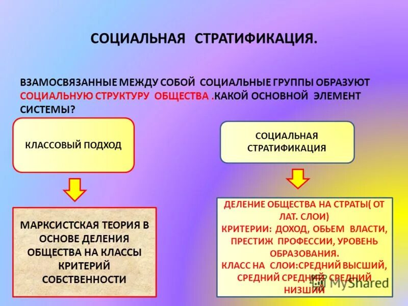 схема царство род вид. социальная сфера общества стратификация. термины в русском языке. функции государства тгп таблица. правильное понятие которое относится к теме.