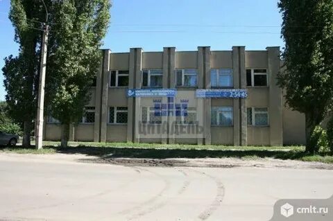 Победа борисоглебск на неделю