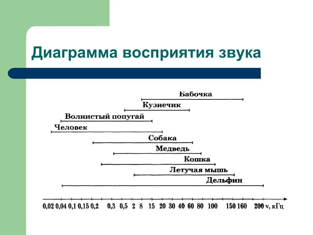 Диаграмма восприятия звука. Особенности восприятия звука. Этапы восприятия звука. Границы восприятия звука.