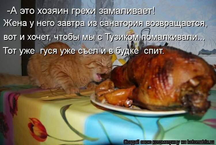 котенок наелся. смешной обед. обед по расписанию мем. обед закончился. обед закончился.