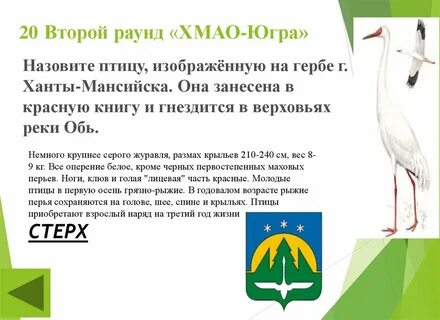 Галерея стерх сургут