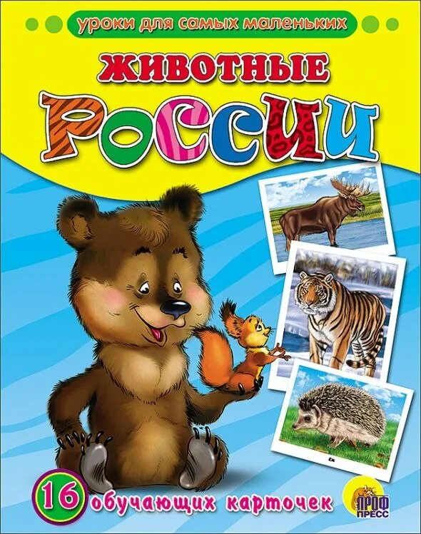 Уроки для самых маленьких животные россии 16 обучающих карточек. Карточки проф пресс животные австралии. 16 обучающих карточек уроки для самых маленьких. 16 обучающих карточек. Уроки для самых маленьких 16 обучающих карточек и проф-пресс.