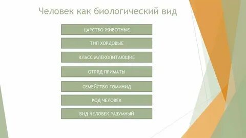Виды биологических объектов человека