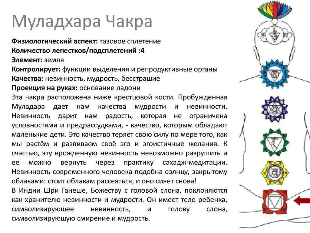 Чакра муладхара раскрытие. Чакры человека муладхара. корневая чакра муладхара. первая чакра. муладхара чакра за что отвечает.