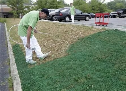 Около восьмисот километров стрижет газон укладка