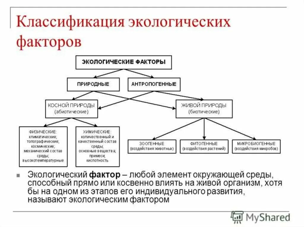 Какие факторы среды называют экологическими. Схема классификации экологических факторов. Классификация факторов экология. Составить схему классификации экологических факторов. Схема классифицирующая экологические факторы среды.