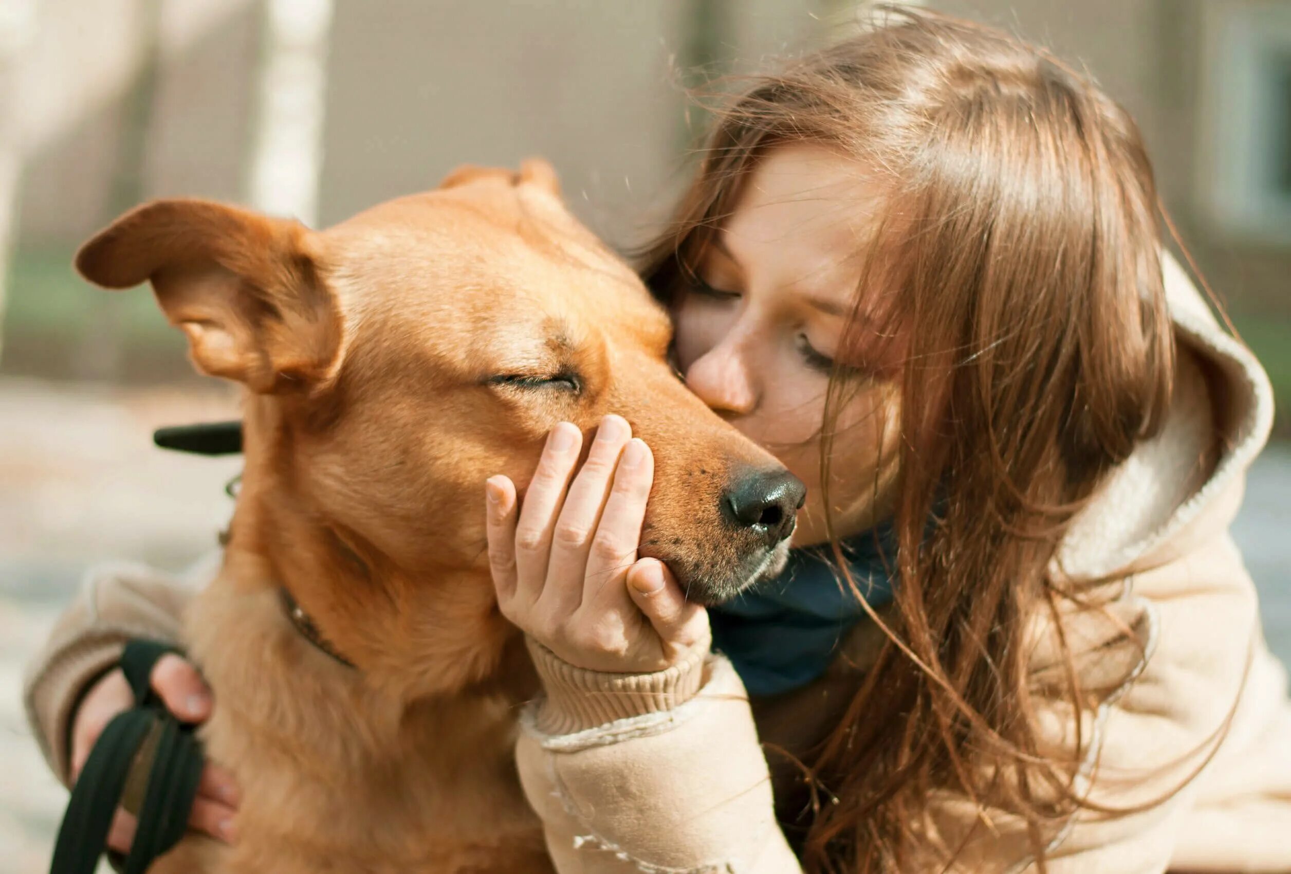 Petting photos. Девушка обнимает собаку. Человек обнимает собаку. Двушка обнимает собаку. Обнимает человека с боку.