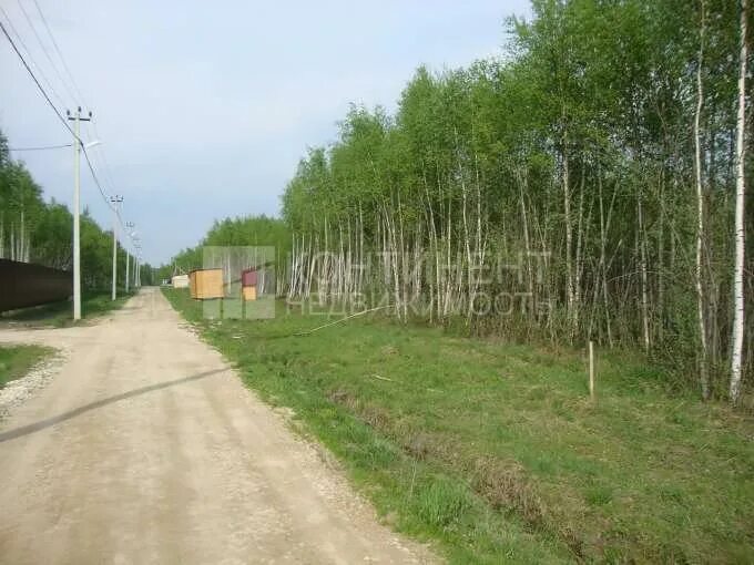 поселок сосновый край. поселок сосновый московская область. поселок сосновый край. туапсе сосновый море. сосновый бор туапсе.