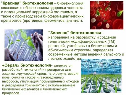 Применение биотехнологий в современном обществе