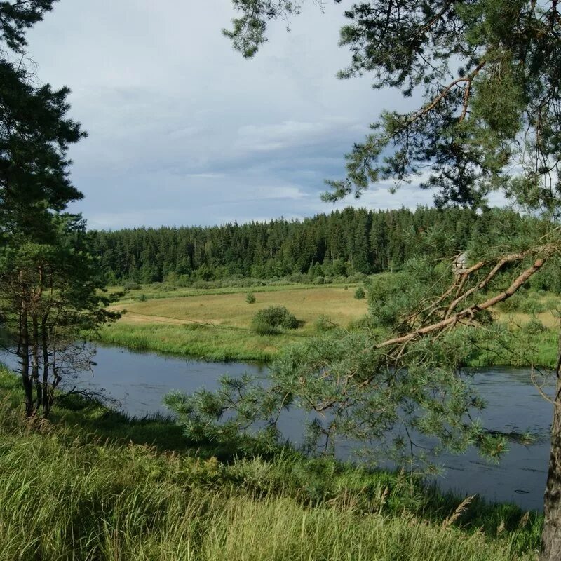 Торопа тверская область новости. Торопа тверская область новости. Торопа тверская область новости. Старая торопа тверская область. Старая торопа тверская область.