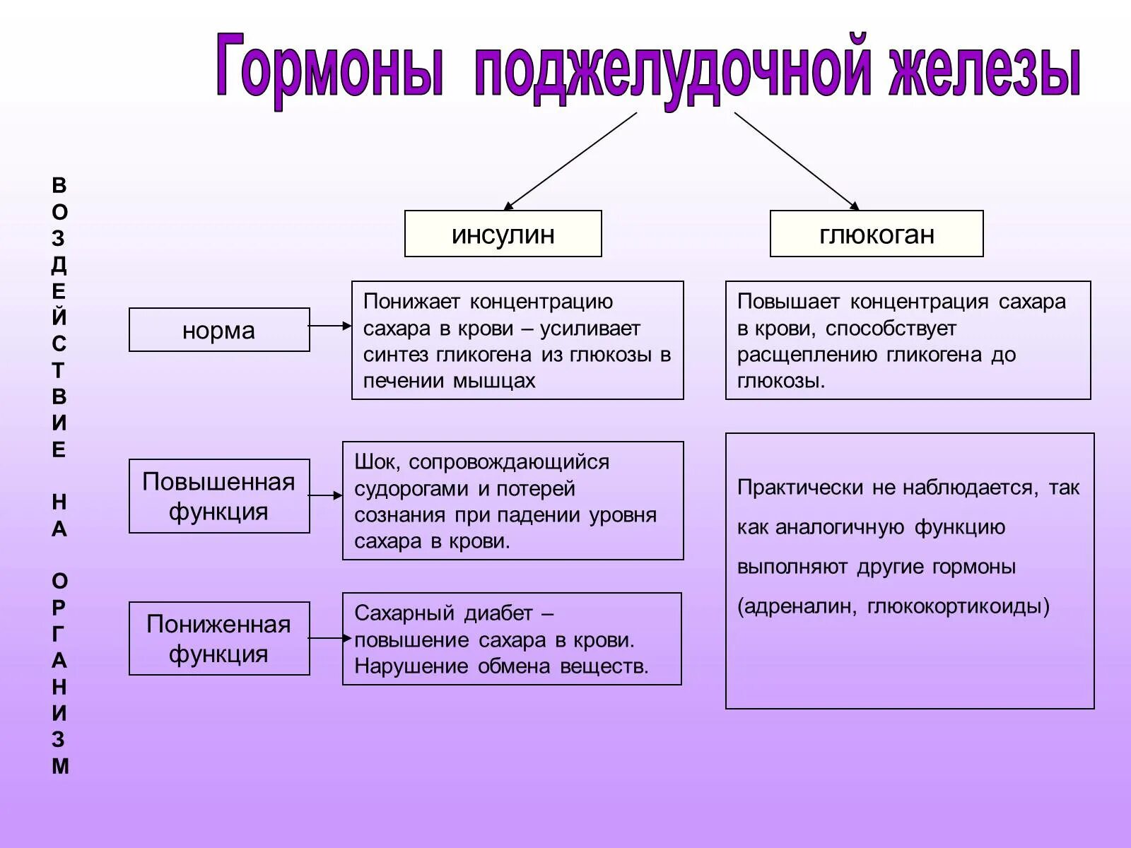 Гормон поджелудочной железы регулирующий углеводный обмен. Основные гормоны поджелудочной железы. гормоны поджелудочной железы у детей. гормоны поджелудочной железы физиология. перечислите гормоны поджелудочной железы.
