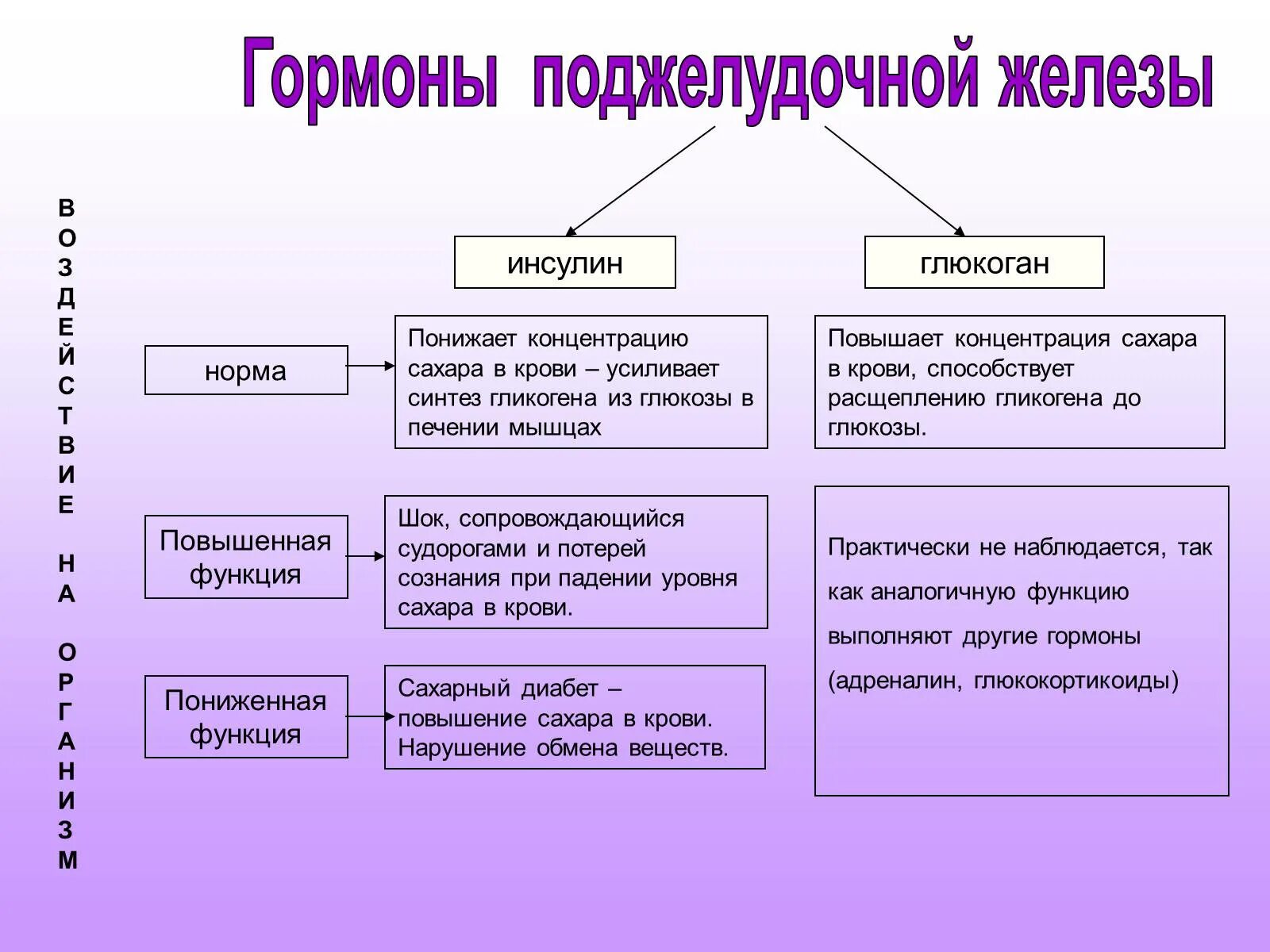 Основные гормоны поджелудочной железы. Гормоны поджелудочной железы у детей. Гормоны поджелудочной железы физиология. Перечислите гормоны поджелудочной железы. Избыток гормона поджелудочной железы