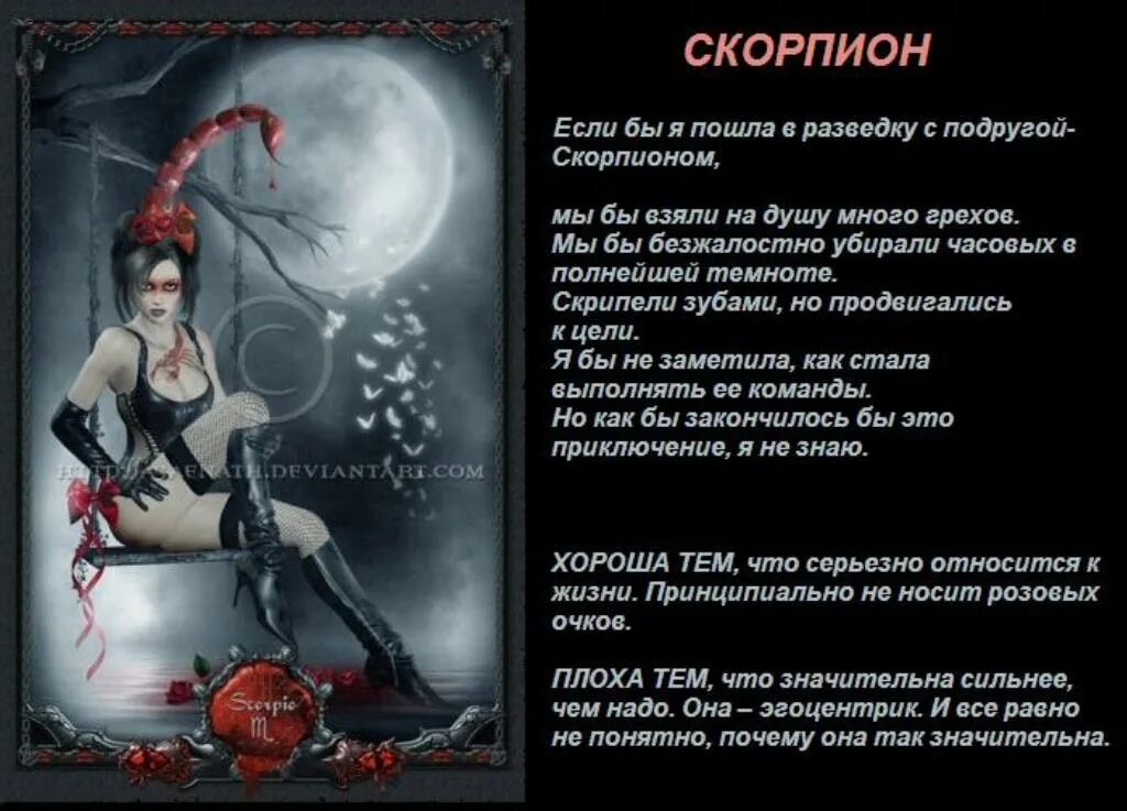 Что означает женщина скорпион. Скорпион по зодиаку. женщина скорпион. гороскоп &quot;скорпион&quot;.