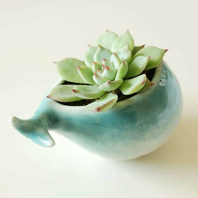 горшок кит керамический. кашпо кит.