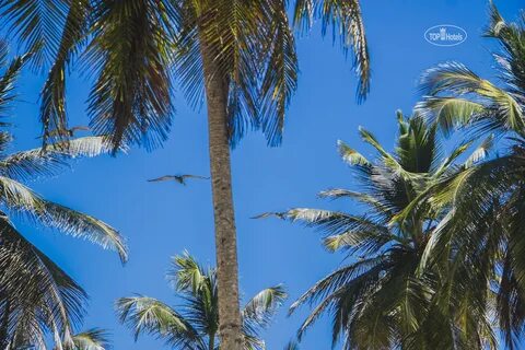 Hesperia playa el agua