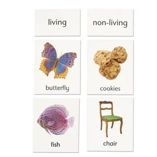 Living card