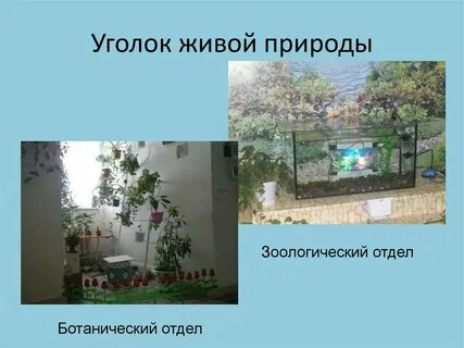 Угол жив