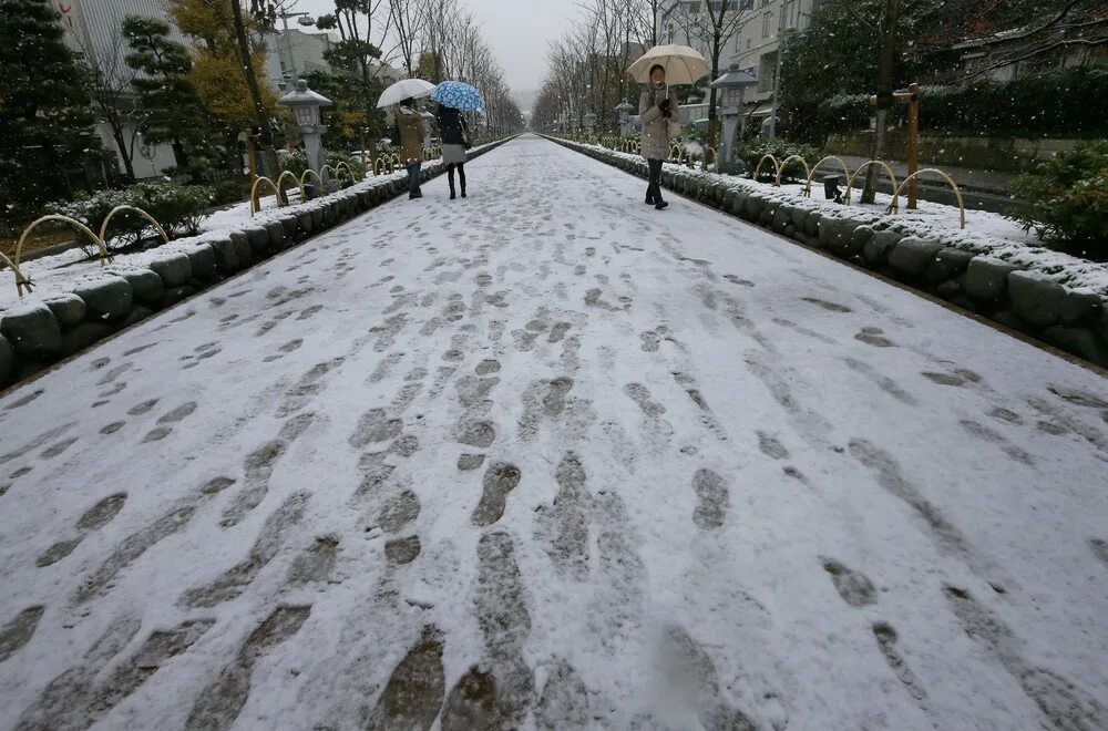 Там снег выпал. Снегопад в Японии. Сугробы в Японии. В Японии выпал снег. Япония снег gif.