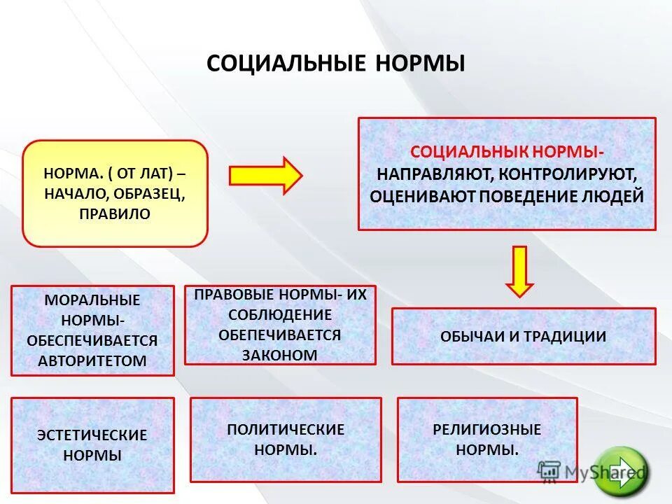 кто такие маргиналы. правила социального поведения. социальные нормы право в системе социальных норм. противоречия между правом и моралью. социальные нормы запреты.