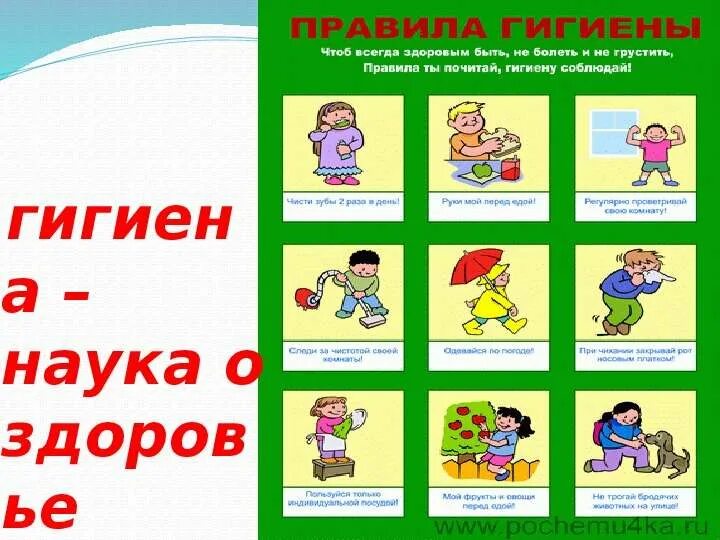 Памятка гигиена человека. Личная гигиена в школе. Памятка личная гигиена. Памятка по личной гигиене человека.