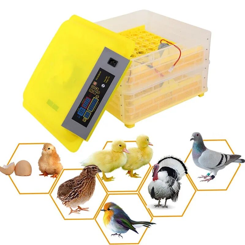 Инкубатор Egg incubator. Инкубатор Egg Box 3000. Mini Egg incubator на 12 яиц. Инкубатор для рептилий RI-10e.