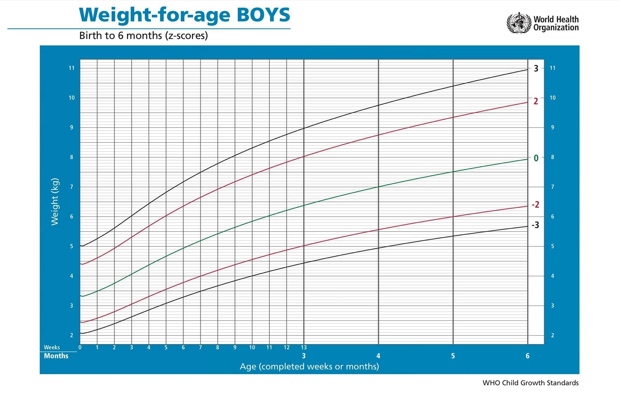 Рост вес в 1 3. График веса воз для мальчиков. Воз диаграмма веса и роста. График роста воз мальчики. Воз график роста и веса мальчиков.