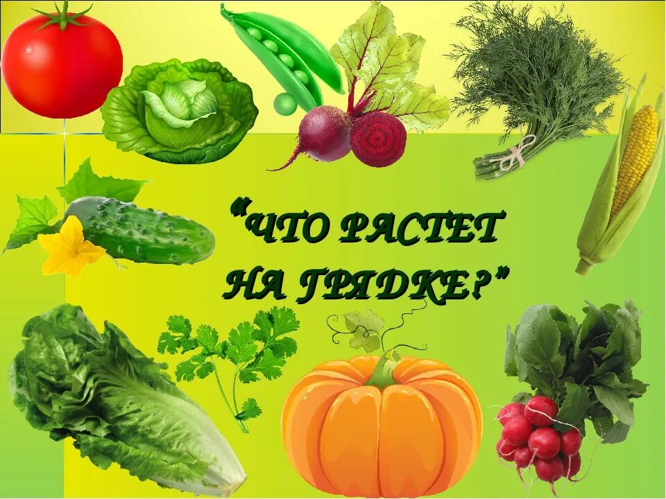 Что растет в огороде. Игра что растет на грядке. Огород с овощами для детей. Стишки про огород для детей. Что растет в огороде.